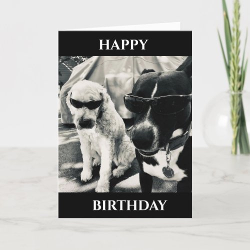 HAPPY BIRTHDAY UNCLE CARD from COOL DOGS