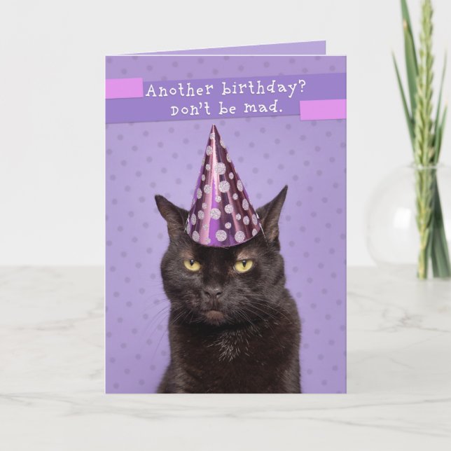 Happy Birthday Unhappy Cat in Party Hat Humor Holiday Card (Front)