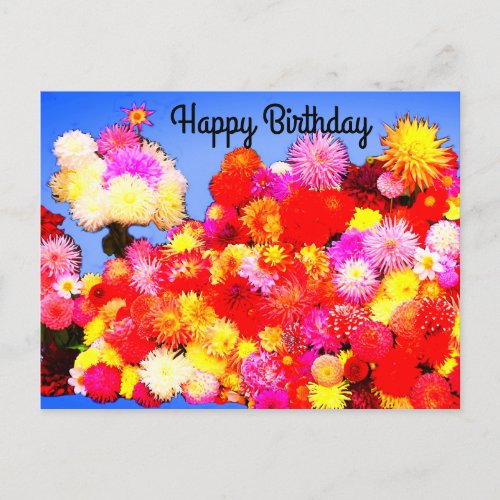 Happy Birthday Various Dahlias 2_2 Postcard
