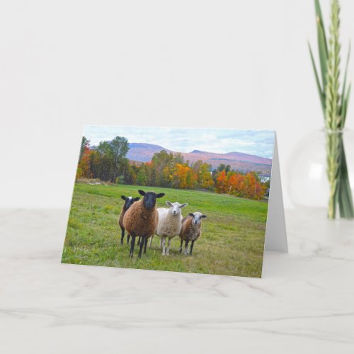 Happy Birthday Vermont Sheep in Autumn Card