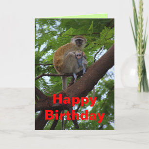 Happy Birthday Vervet Monkey Mother and Child Card