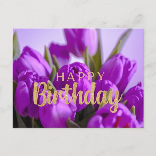 Happy Birthday Vibrant Purple Tulip Flowers  Postcard