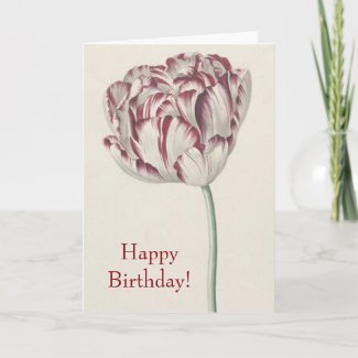 Happy Birthday - Vintage Red and White Tulip Card