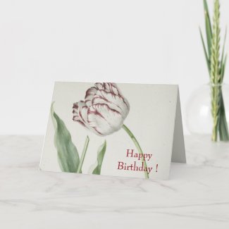 Happy Birthday - Vintage White & Red Tulip Card