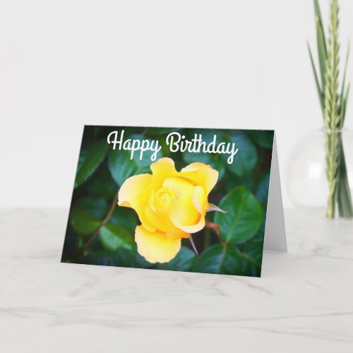 Happy Birthday Walking on Sunshine Rose 1 Card