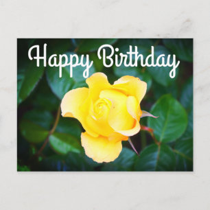 Happy Birthday Walking on Sunshine Rose#1 Postcard