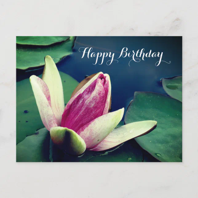 Happy Birthday Water Lilly Poscard Postcard | Zazzle