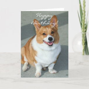 Happy Birthday Welsh Corgi Greeting Card