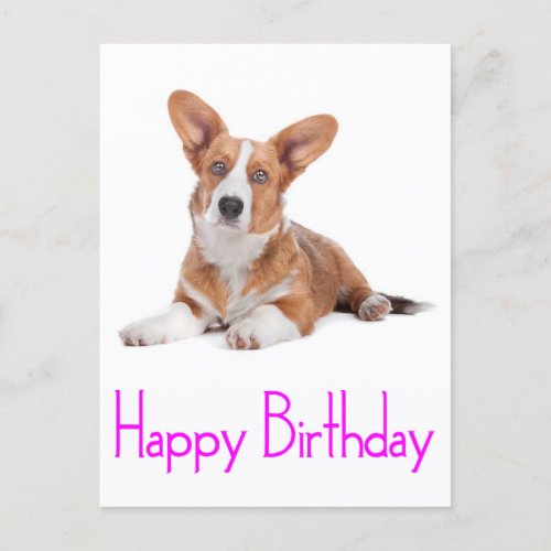 Happy Birthday Welsh Corgi Puppy Dog  Postcard