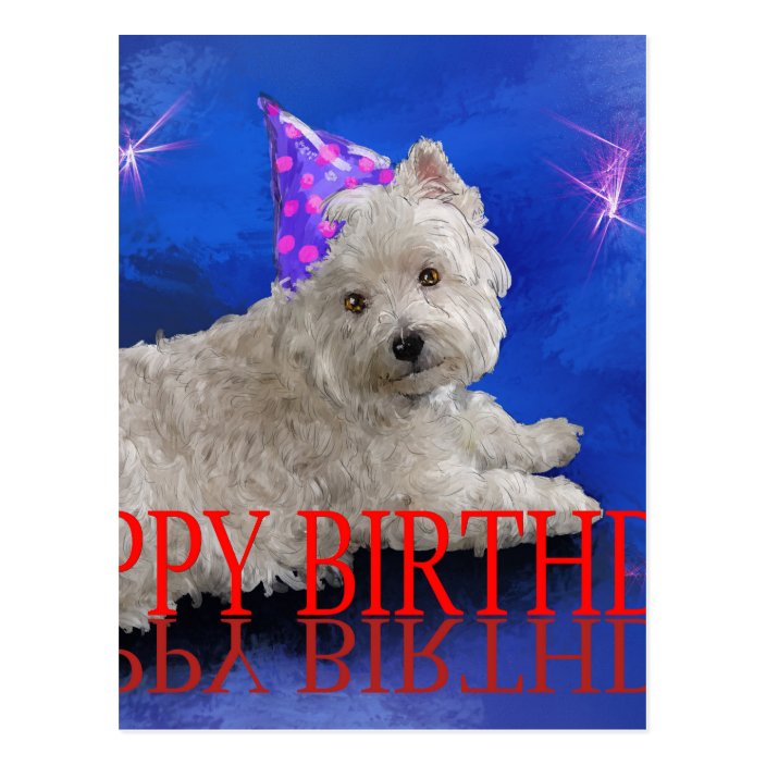 Happy Birthday Westie Postcard | Zazzle.com