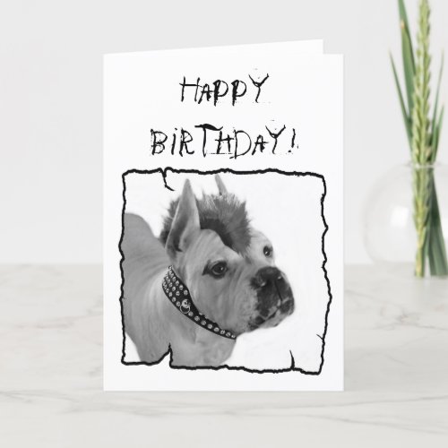Happy Birthday White Boxer Punk greeting card