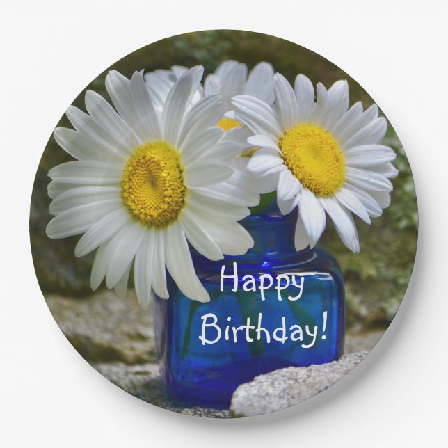Happy Birthday White Daisy Paper Plates (Front)