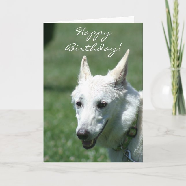 Happy Birthday White German Shepherd greeting card (Front)