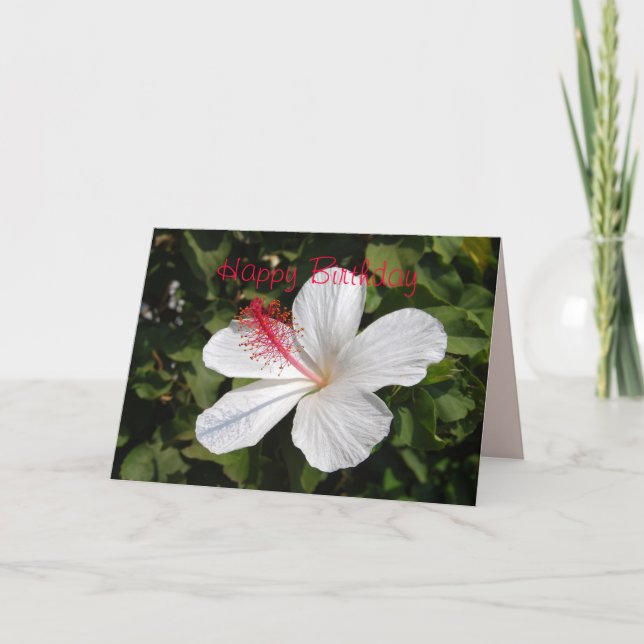 Happy Birthday White Hibiscus Card (Front)
