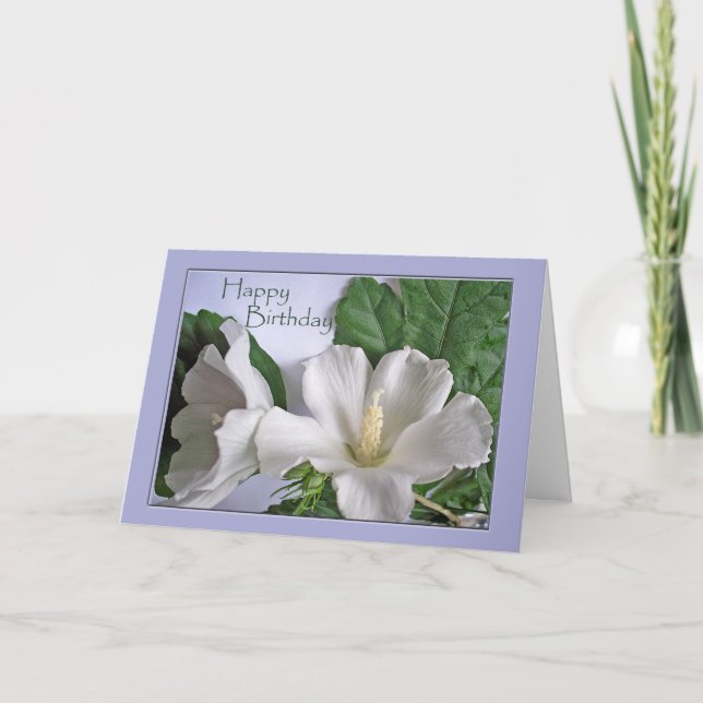 Happy Birthday White Hibiscus Rose of Sharon Card (Front)