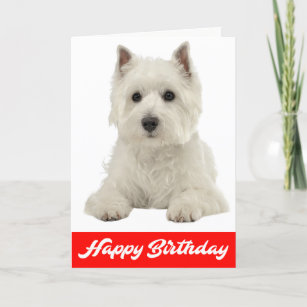 White West Highland Terrier Cute Westie with Love Westie card Westie Love Card Dog Greeting Card Westie Greeting card