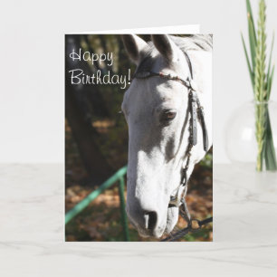 Happy Birthday White Horse Greeting Card