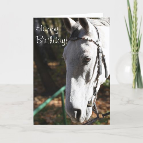 Happy Birthday White Horse Greeting Card