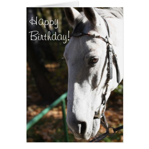 Happy Birthday White Horse Greeting Card | Zazzle