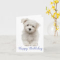 Happy Birthday White Maltese Puppy Dog Blue Card | Zazzle