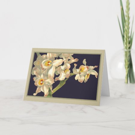 Happy Birthday White Orchids Card
