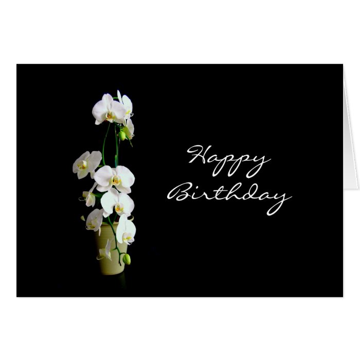 Happy Birthday White Orchids Greeting Cards