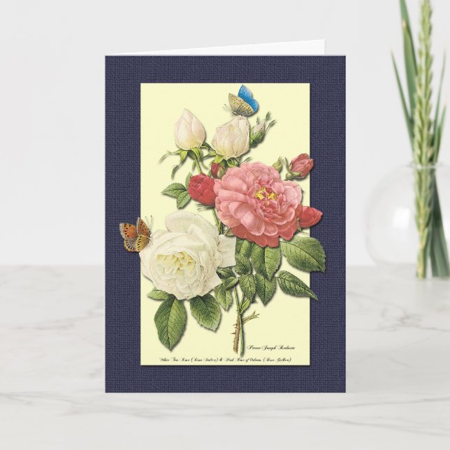 Happy Birthday White Red Roses Botanical Art Card (Front)