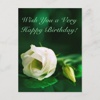 Happy Birthday White Rose On Green Postcard by VBleshka at Zazzle
