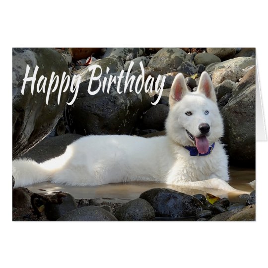 Happy Birthday White Siberian Husky Puppy Dog Card