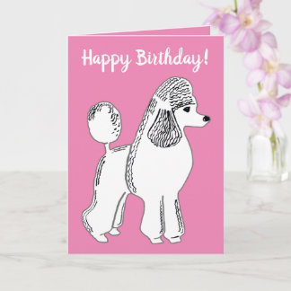 Happy Birthday! White Standard Poodle Pink Card