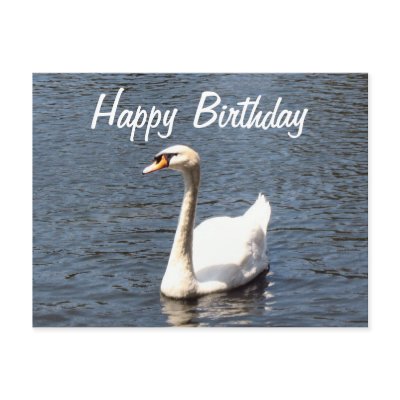 happy_birthday_white_swan_postcard-p239407699542522320envli_400.jpg