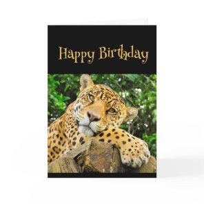 Happy Birthday Wild Thing Leopard Animal Fun Card