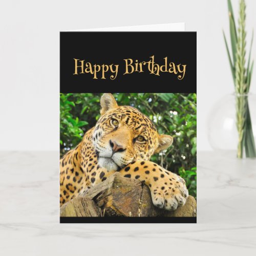  Happy Birthday Wild Thing Leopard Animal Fun Card