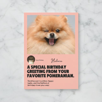 Happy Birthday Winking Pomeranian Card