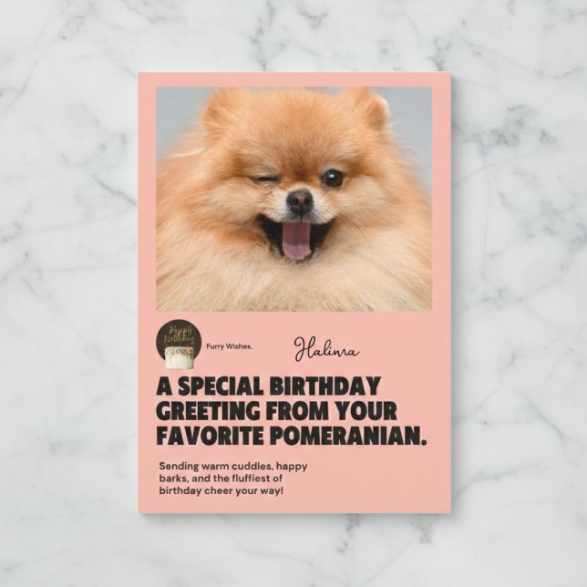 Happy Birthday Winking Pomeranian Card (Send a wink and a smile today.)