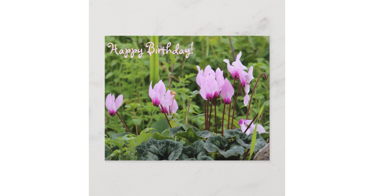 Happy Birthday Winter Flowers Postcard | Zazzle