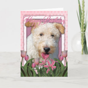Happy Birthday - Wire Fox Terrier - Hailey Card