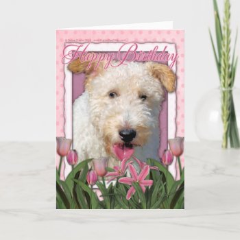Happy Birthday -  Wire Fox Terrier - Hailey Card by FrankzPawPrintz at Zazzle