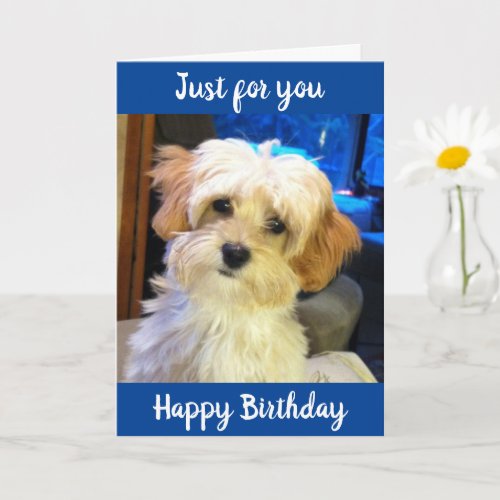 HAPPY BIRTHDAY WISH IT WAS IN PERSON CARD