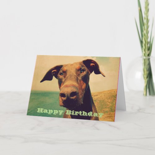 Happy Birthday with a Cute Doberman Card