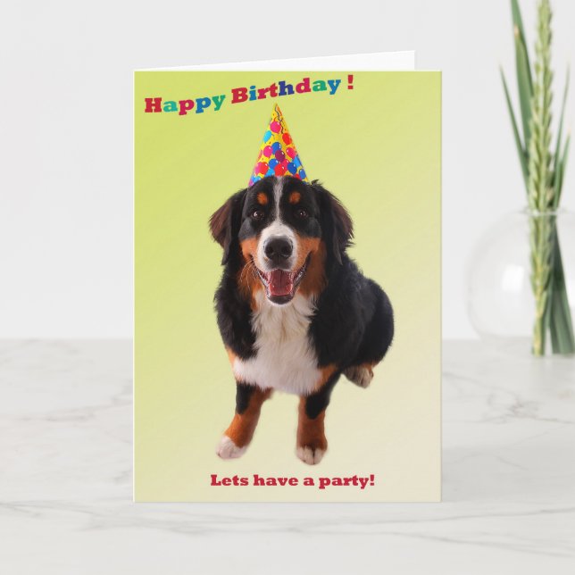 Happy Birthday with bernese Card (Front)