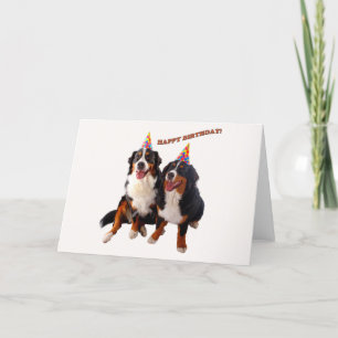 Happy birthday with bernese card