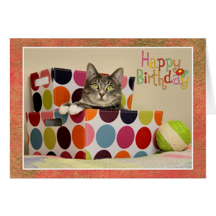 Happy Birthday with Cute Cat Card