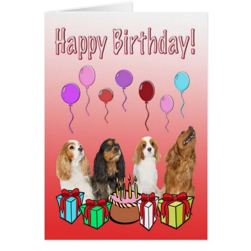 Happy Birthday With Four Spaniels Greeting Card | Zazzle