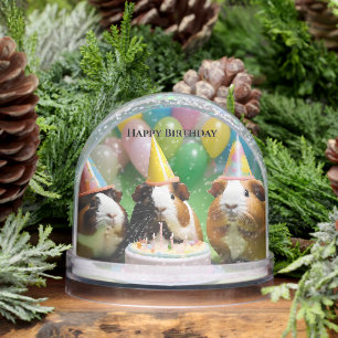 Happy Birthday With Party Guinea Pigs, Snow Globe
