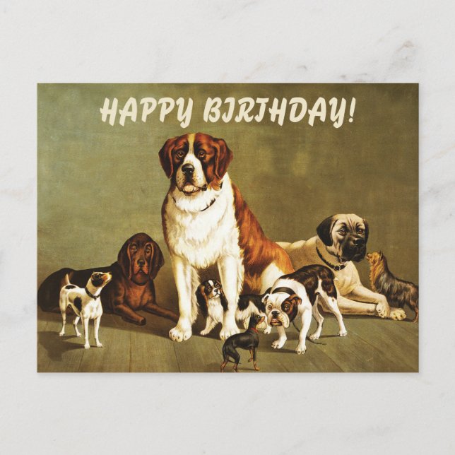 Happy Birthday with Vintage Dogs Illustration Postcard (Front)