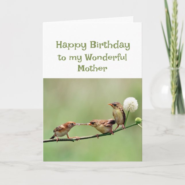  Happy Birthday Wonderful Mom Fun Birds Card (Front)