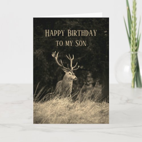 Happy Birthday Wonderful Son Vintage Deer Stag  Card
