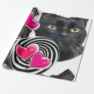 Happy Birthday Wrapping Paper Cat Lady Birthday