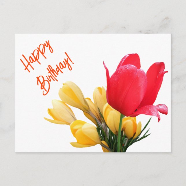 Happy Birthday yellow crocus red tulip floral love Holiday Postcard (Front)